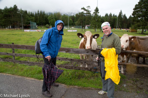 Phil, Mikey and their new cow friends on a misty day in Reutte
