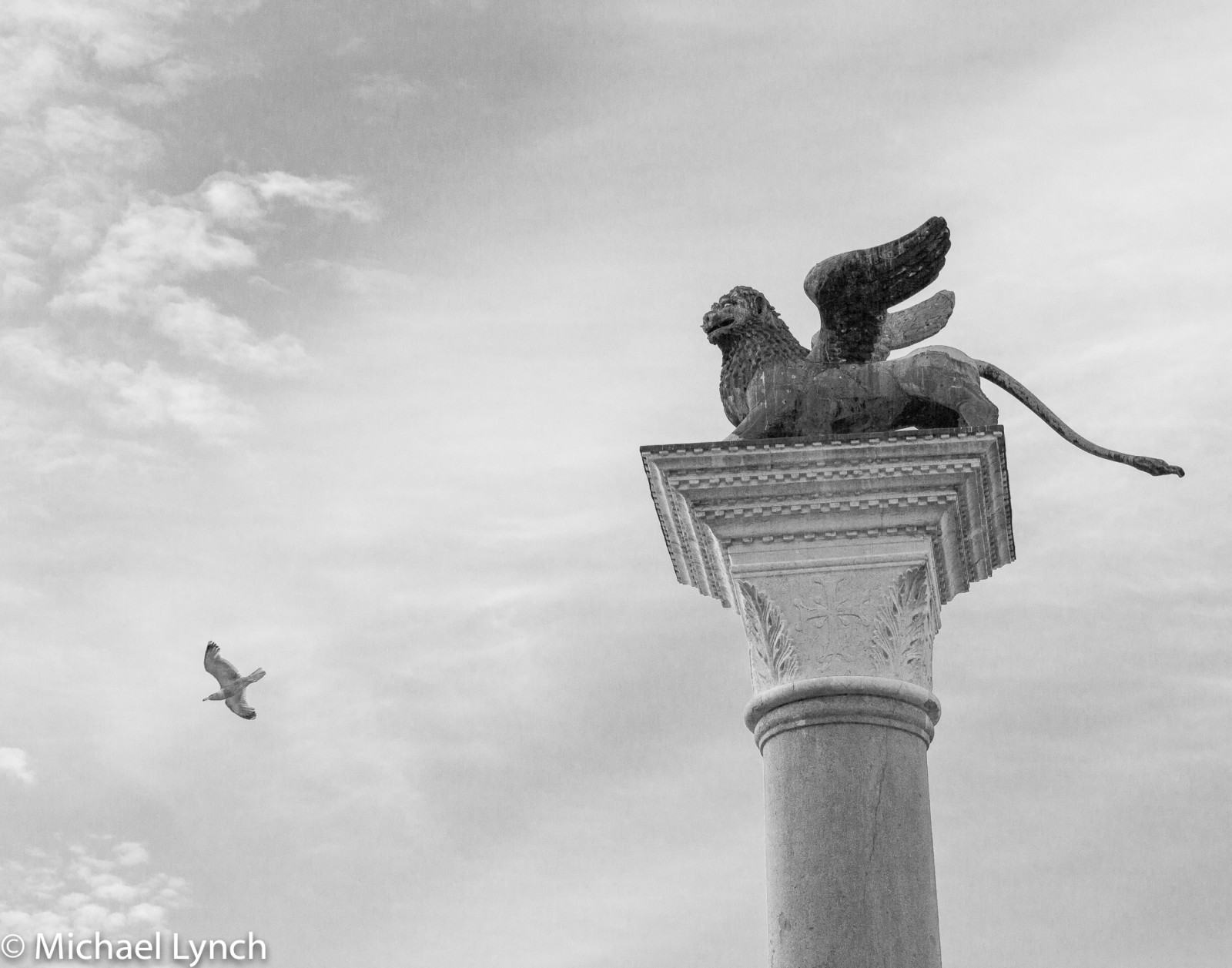 Flying Lion and seagull